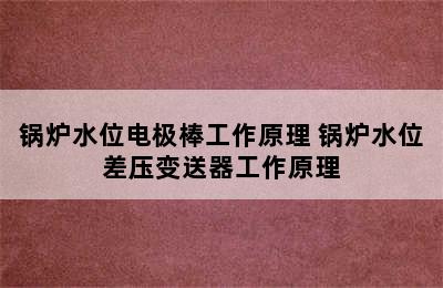 锅炉水位电极棒工作原理 锅炉水位差压变送器工作原理